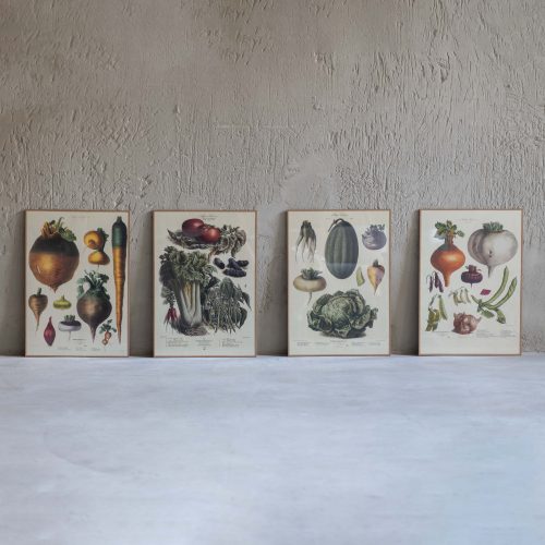 Lámina Vilmorin frutas y verduras