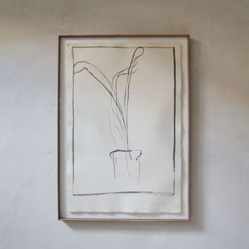 Obra gráfica "Planta de saló" de Hernández Pijuan