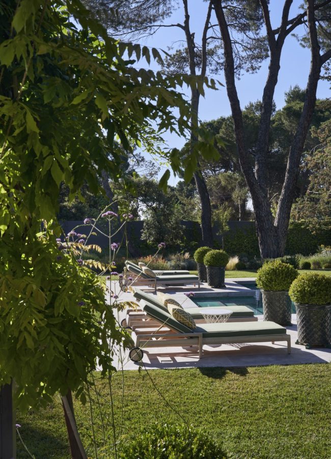 PAISAJISMO - JARDÍN EN EL PLANTÍO (6) (Grande)